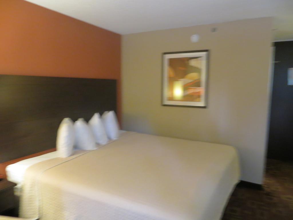 University Inn Austin North Room photo